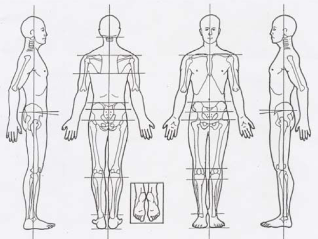 Diagrama del cuerpo humano